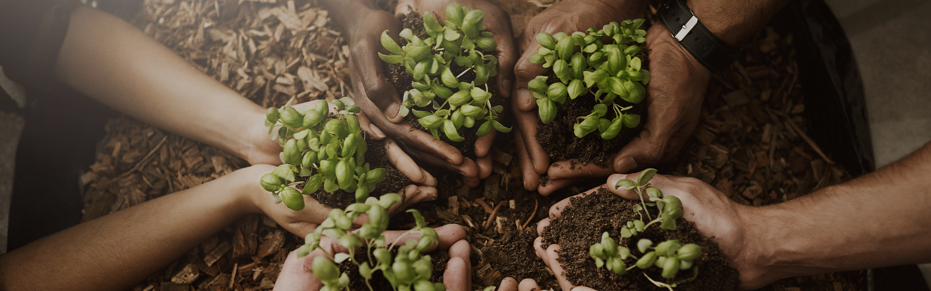 搜索中心-浙江中地净土科技有限公司