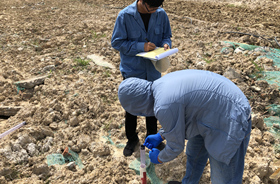 场地调查和风险评估-浙江中地净土科技有限公司