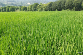 环保管家第三方综合服务-浙江中地净土科技有限公司