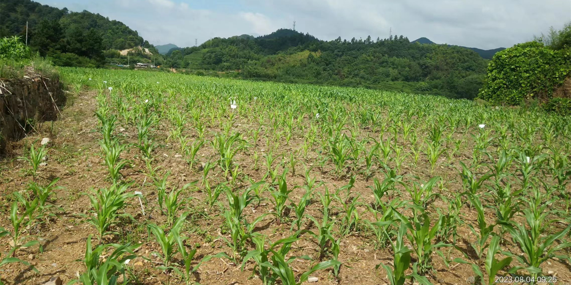 土壤与地下水生态环境改良修复-浙江中地净土科技有限公司