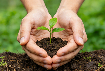 强化受污染耕地分类管控 促进农业绿色高质量发展-浙江中地净土科技有限公司