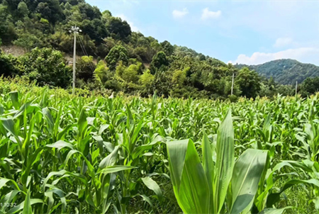 浙江省土壤、地下水和农业农村污染防治“十四五”规划-浙江中地净土科技有限公司