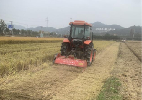 -浙江中地净土科技有限公司